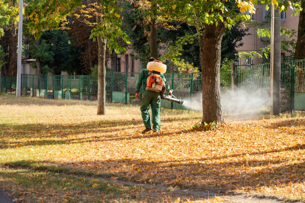 Pest Control for Restaurants in Four Corners, OR